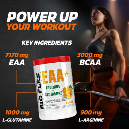 Bigflex EAA + BCAA with Glutamine | Arginine | Lions Mane Ext | Panax Ginseng | For Maximum Recovery &amp; Pump + Free Warfare Creatine 450g (Orange) (30 Servings)
