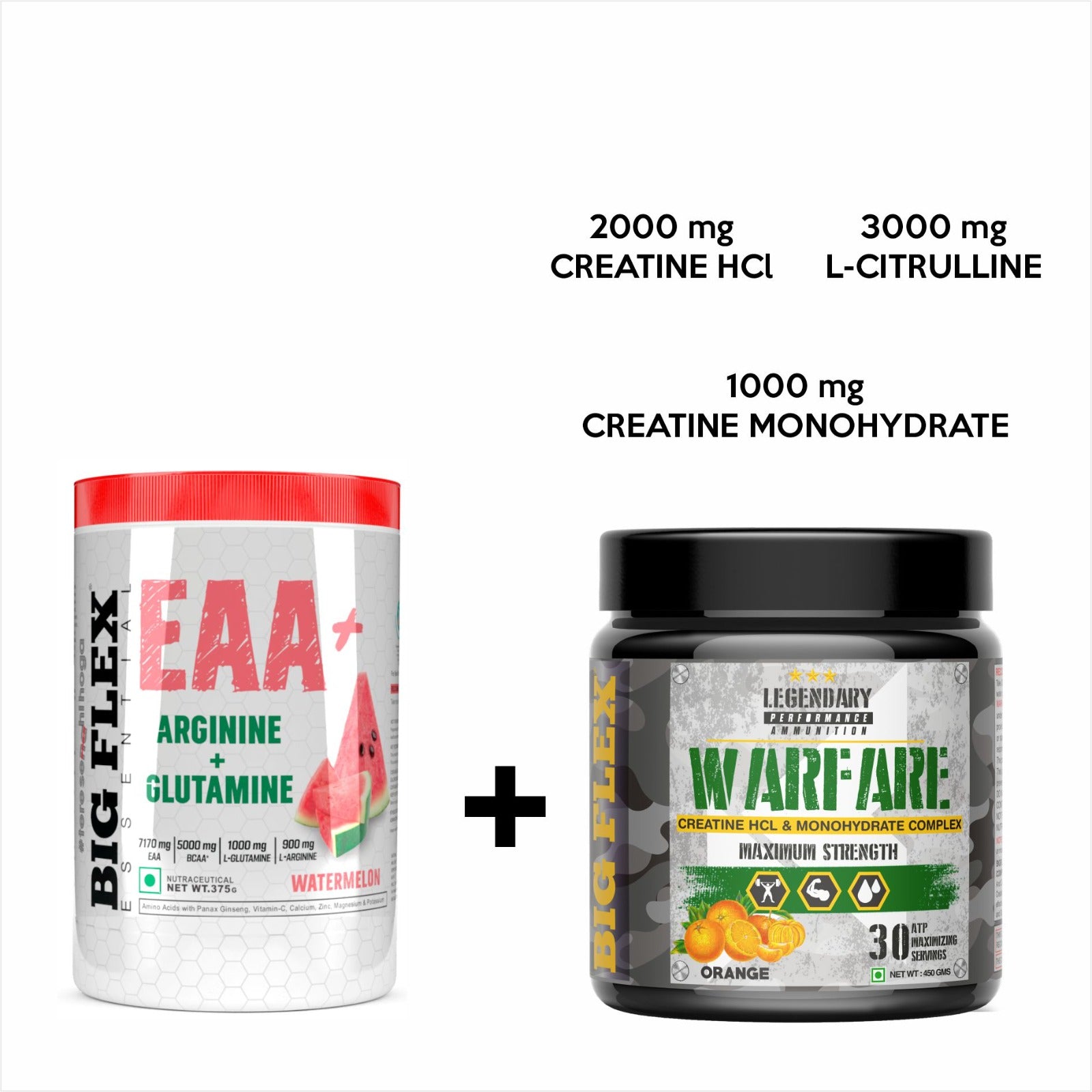 Bigflex EAA + BCAA with Glutamine | Arginine | Lions Mane Ext | Panax Ginseng | For Maximum Recovery &amp; Pump + Free Warfare Creatine 450g (Orange) (30 Servings)